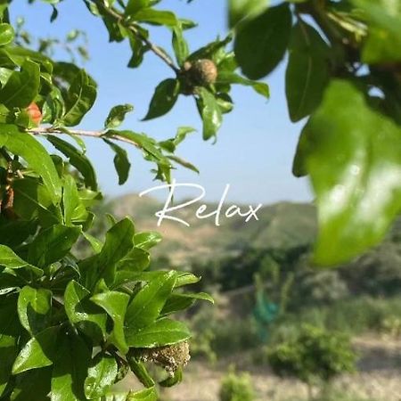 Casa Vacanze Sicilia Casteltermini Екстериор снимка