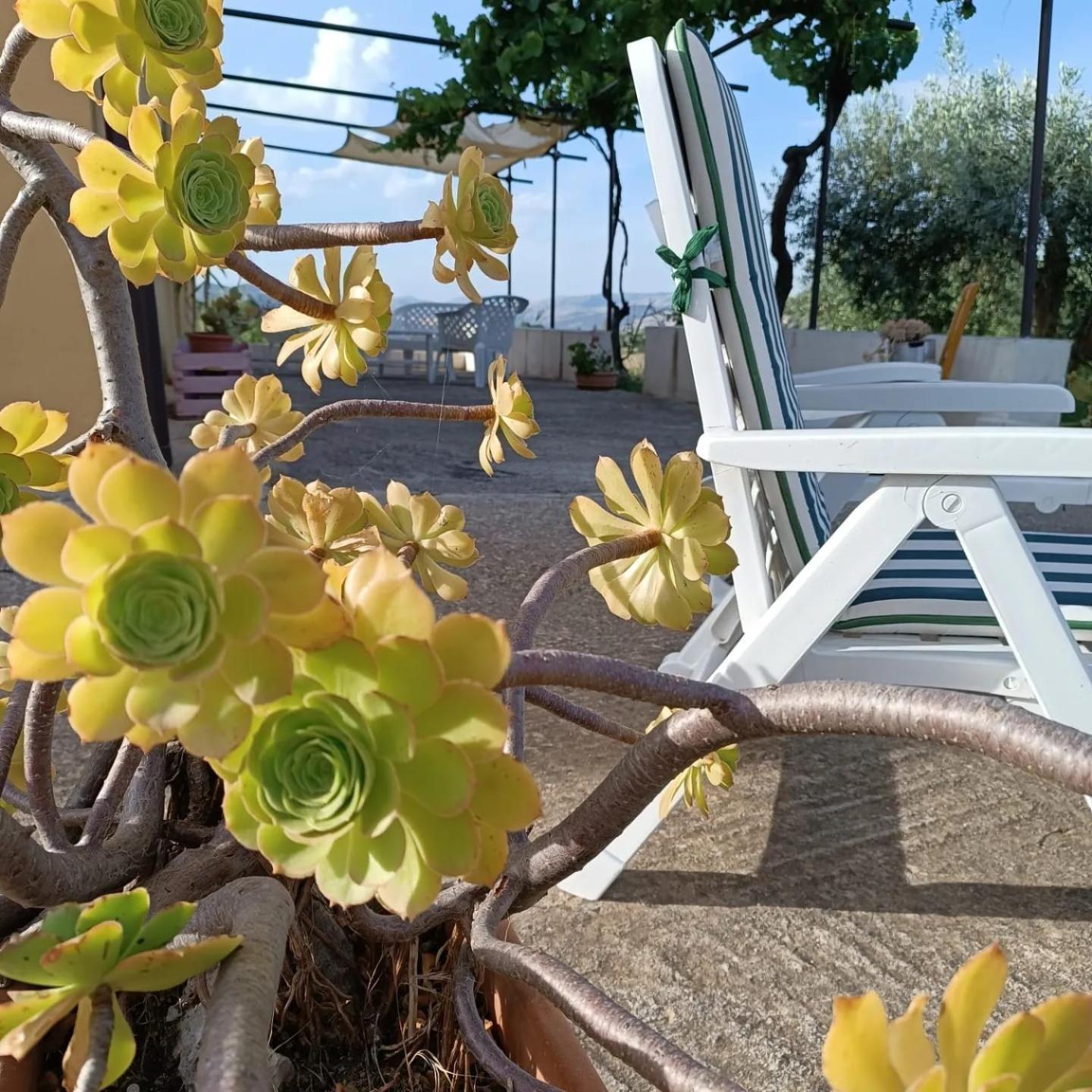 Casa Vacanze Sicilia Casteltermini Екстериор снимка